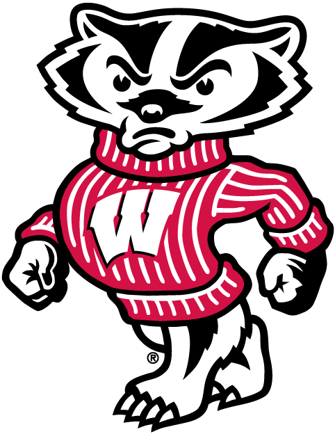 Wisconsin Badgers 2002-Pres Mascot Logo v3 DIY iron on transfer (heat transfer)